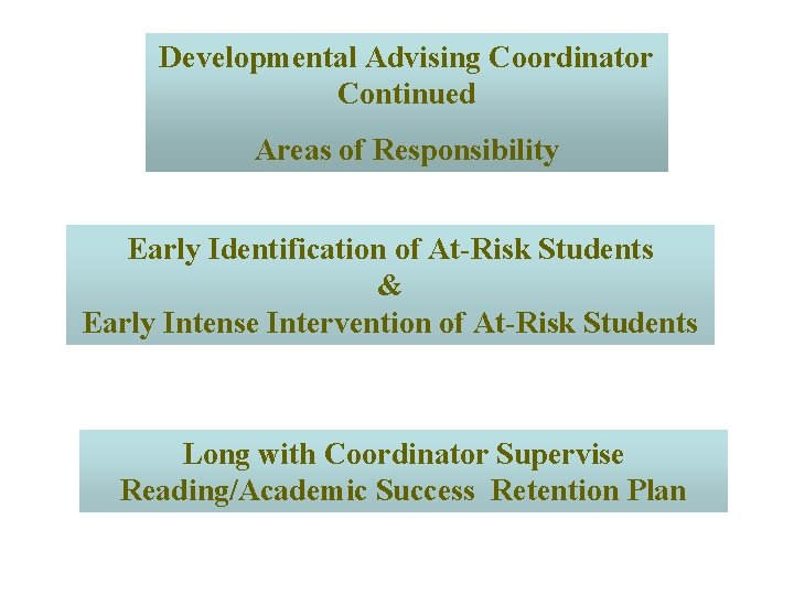 Developmental Advising Coordinator Continued Areas of Responsibility Early Identification of At-Risk Students & Early