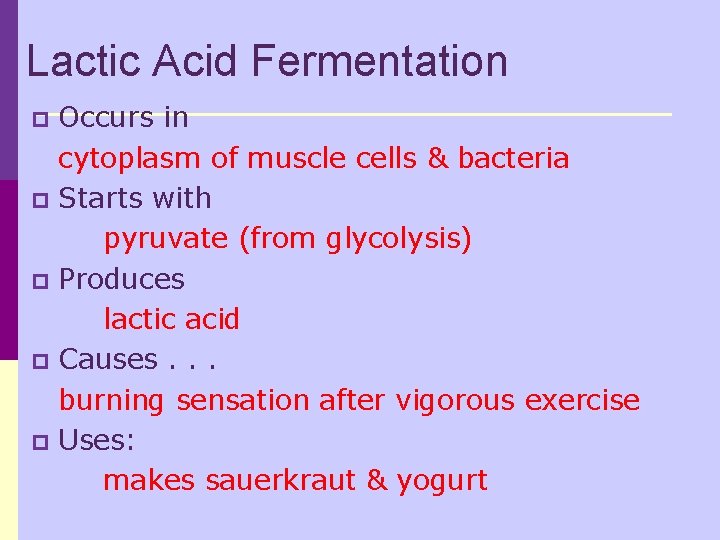 Lactic Acid Fermentation Occurs in cytoplasm of muscle cells & bacteria p Starts with