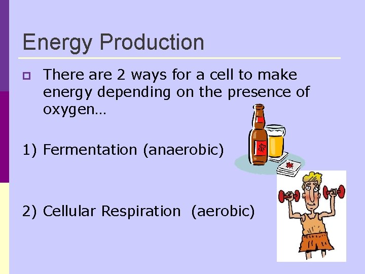 Energy Production p There are 2 ways for a cell to make energy depending