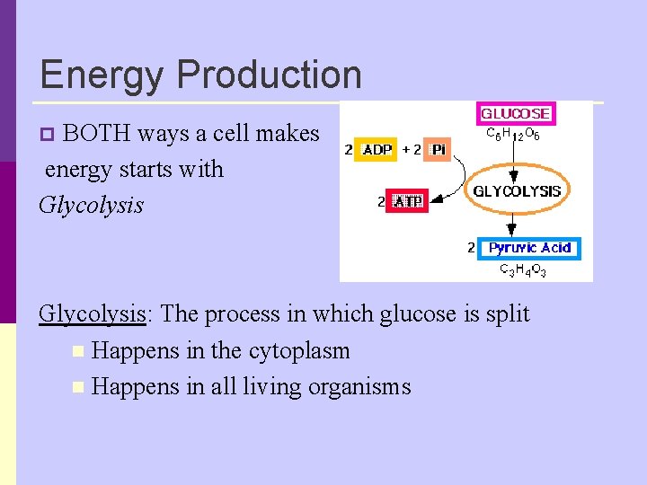 Energy Production BOTH ways a cell makes energy starts with Glycolysis p Glycolysis: The