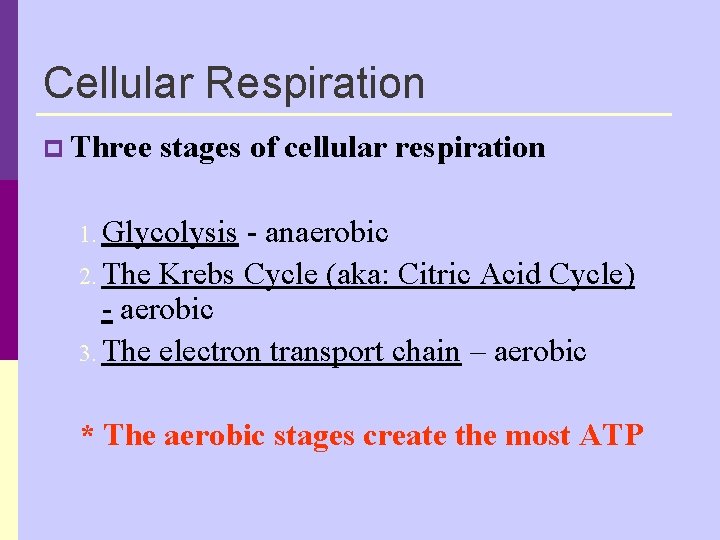 Cellular Respiration p Three stages of cellular respiration 1. Glycolysis - anaerobic 2. The