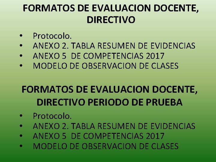 FORMATOS DE EVALUACION DOCENTE, DIRECTIVO • • Protocolo. ANEXO 2. TABLA RESUMEN DE EVIDENCIAS