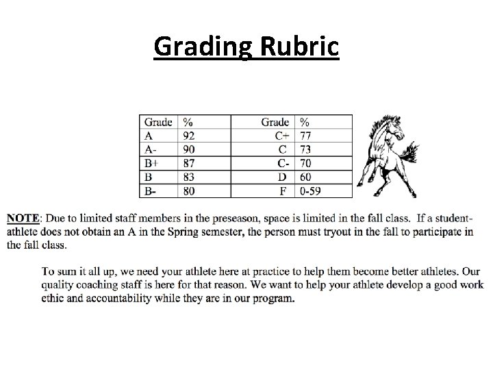 Grading Rubric 