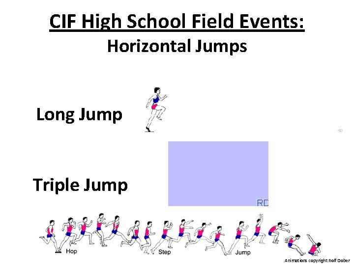CIF High School Field Events: Horizontal Jumps Long Jump Triple Jump Animations copyright Rolf