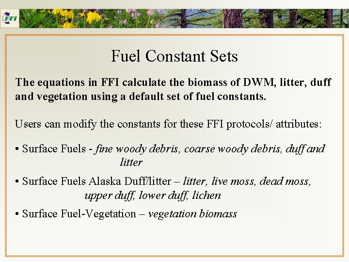 Fuel Constant Sets The equations in FFI calculate the biomass of DWM, litter, duff
