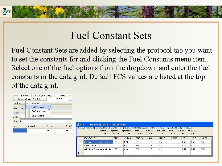 Fuel Constant Sets are added by selecting the protocol tab you want to set