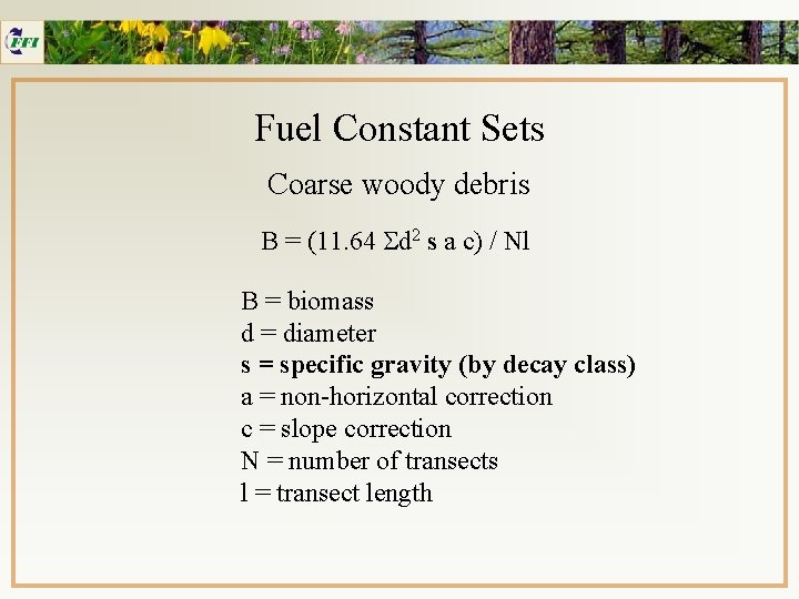 Fuel Constant Sets Coarse woody debris B = (11. 64 Sd 2 s a