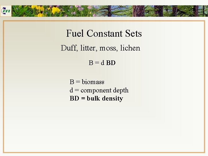 Fuel Constant Sets Duff, litter, moss, lichen B = d BD B = biomass
