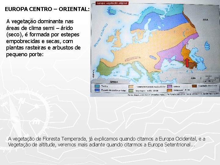 EUROPA CENTRO – ORIENTAL: A vegetação dominante nas áreas de clima semi – árido