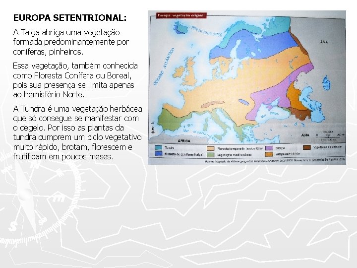 EUROPA SETENTRIONAL: A Taiga abriga uma vegetação formada predominantemente por coníferas, pinheiros. Essa vegetação,