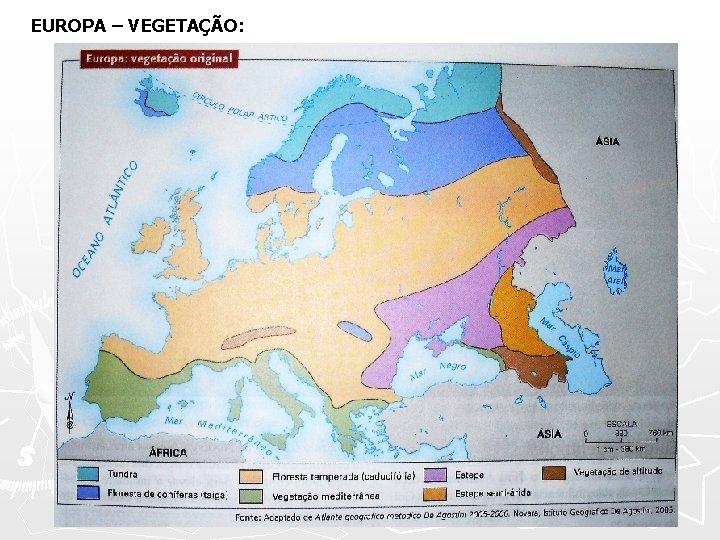 EUROPA – VEGETAÇÃO: 