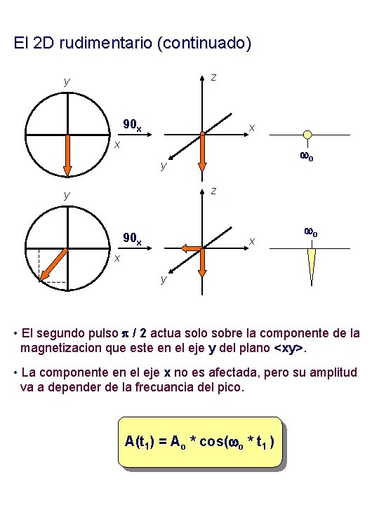 El 2 D rudimentario (continuado) z y 90 x x x wo y z