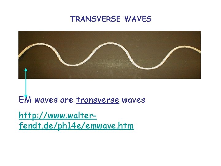 TRANSVERSE WAVES EM waves are transverse waves http: //www. walterfendt. de/ph 14 e/emwave. htm