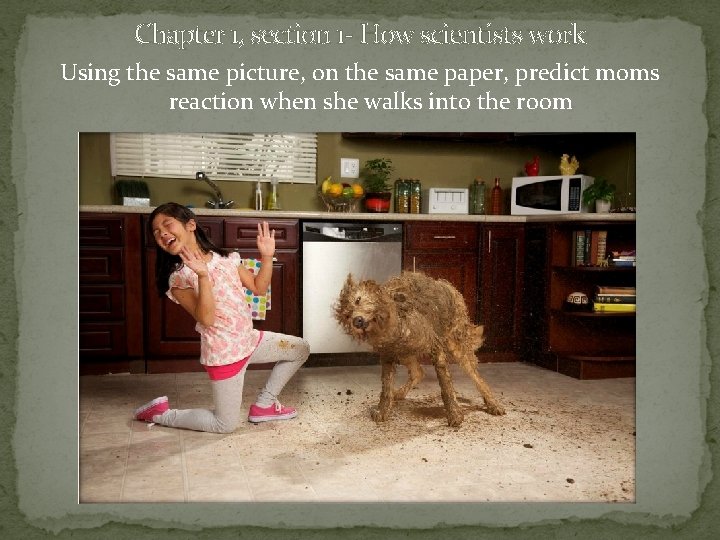 Chapter 1, section 1 - How scientists work Using the same picture, on the