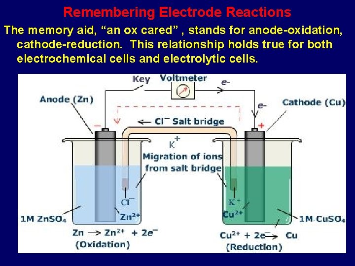 Remembering Electrode Reactions The memory aid, “an ox cared” , stands for anode-oxidation, cathode-reduction.