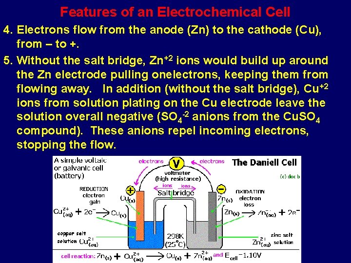 Features of an Electrochemical Cell 4. Electrons flow from the anode (Zn) to the