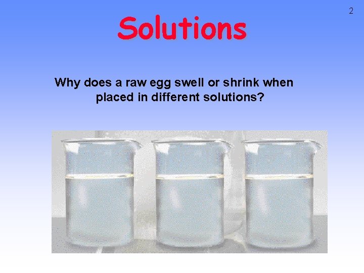 Solutions Why does a raw egg swell or shrink when placed in different solutions?