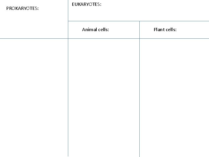 PROKARYOTES: EUKARYOTES: Animal cells: Plant cells: 