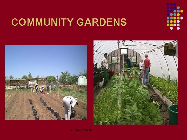 COMMUNITY GARDENS G. Hughes, Virgil MS 