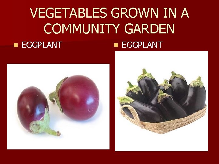 VEGETABLES GROWN IN A COMMUNITY GARDEN n EGGPLANT 