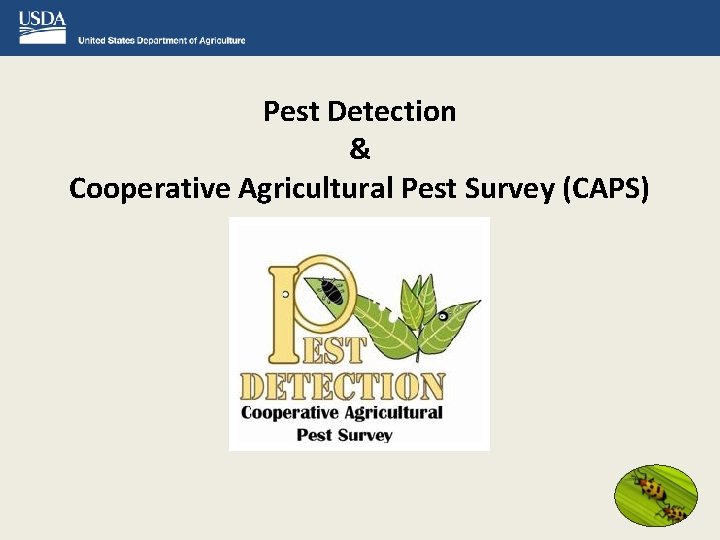 Pest Detection & Cooperative Agricultural Pest Survey (CAPS) 