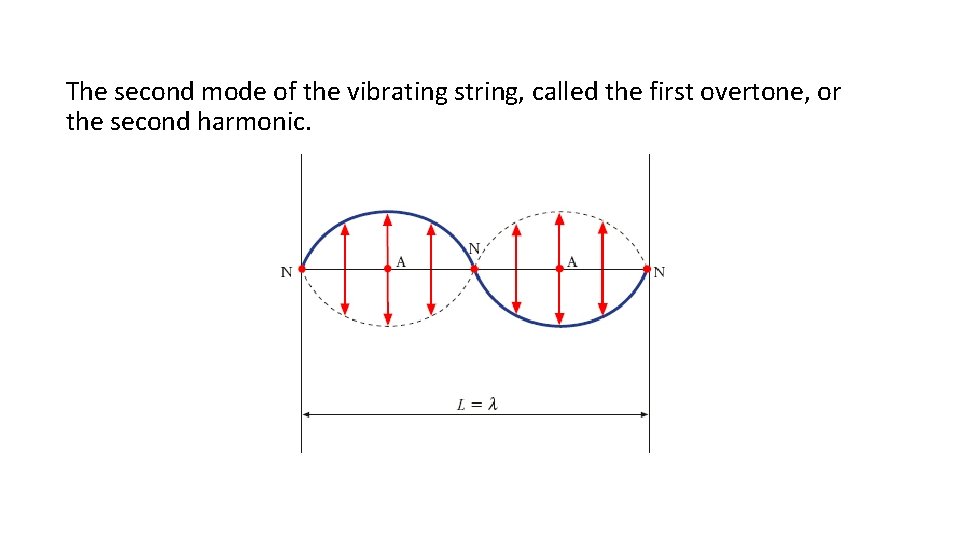 The second mode of the vibrating string, called the first overtone, or the second