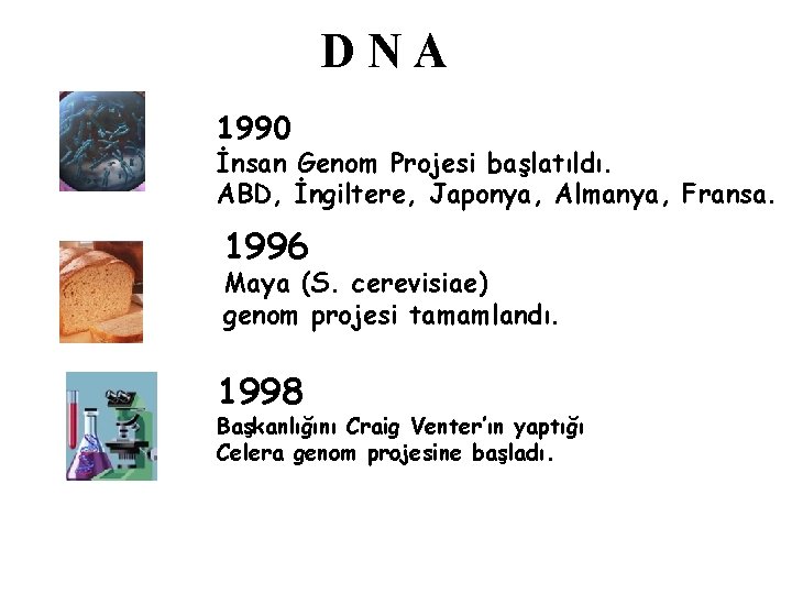 DNA 1990 İnsan Genom Projesi başlatıldı. ABD, İngiltere, Japonya, Almanya, Fransa. 1996 Maya (S.