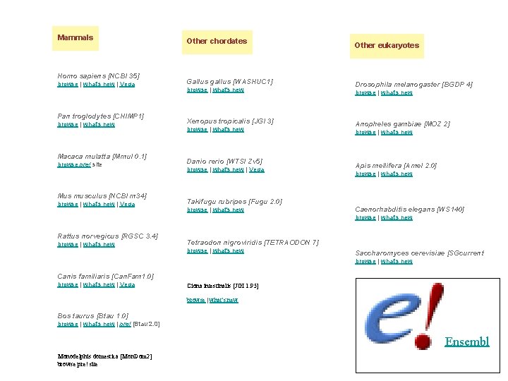 Mammals Homo sapiens [NCBI 35] browse | what's new | Vega Pan troglodytes [CHIMP