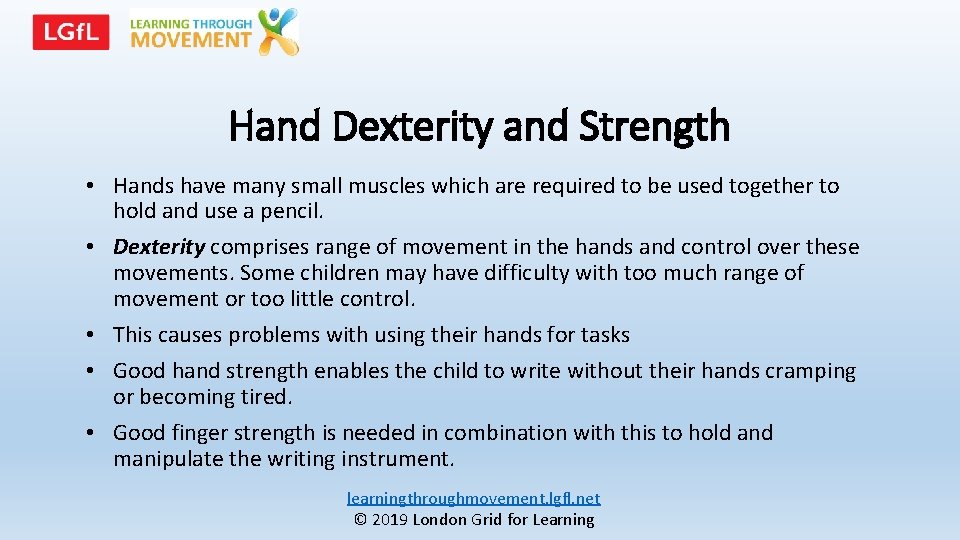 Hand Dexterity and Strength • Hands have many small muscles which are required to