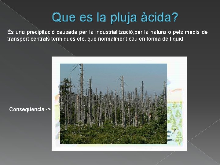 Que es la pluja àcida? És una precipitació causada per la industrialització, per la