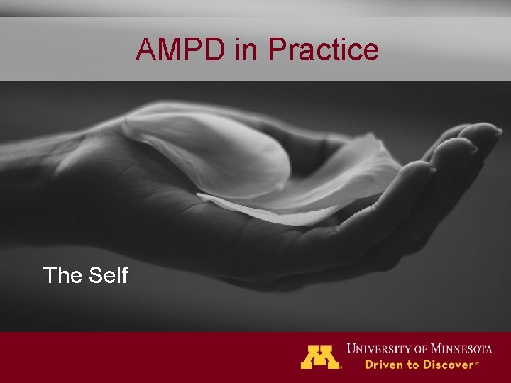 AMPD in Practice The Self 