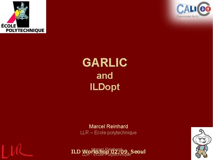 GARLIC and ILDopt Marcel Reinhard LLR – Ecole polytechnique Marcel Reinhard ILD LLR Workshop