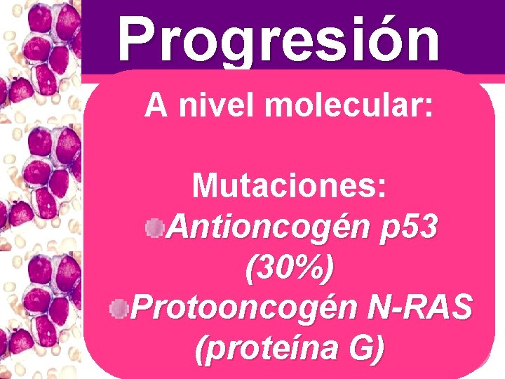 Progresión A nivel molecular: FRECUENTES: MENOS FRECUENTES: Ph adicional Trisomía 9 Trisomía 8 Isocromosoma