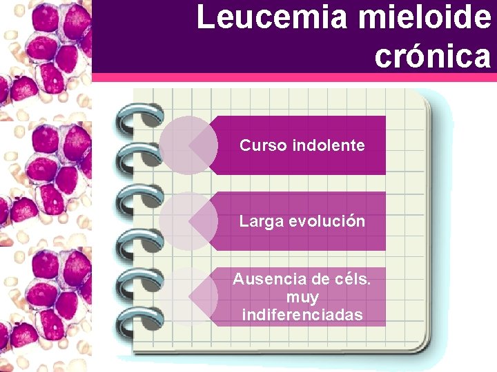 Leucemia mieloide crónica Curso indolente Larga evolución Ausencia de céls. muy indiferenciadas 