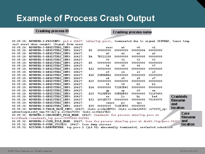 Example of Process Crash Output Crashing process ID Crashing process name 00: 05: 29: