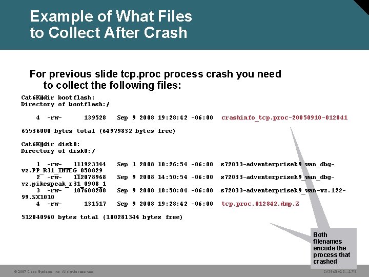 Example of What Files to Collect After Crash For previous slide tcp. process crash