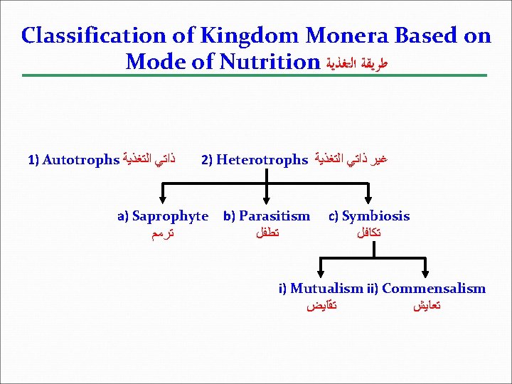 Classification of Kingdom Monera Based on Mode of Nutrition ﻃﺮﻳﻘﺔ ﺍﻟﺘﻐﺬﻳﺔ 1) Autotrophs ﺫﺍﺗﻲ