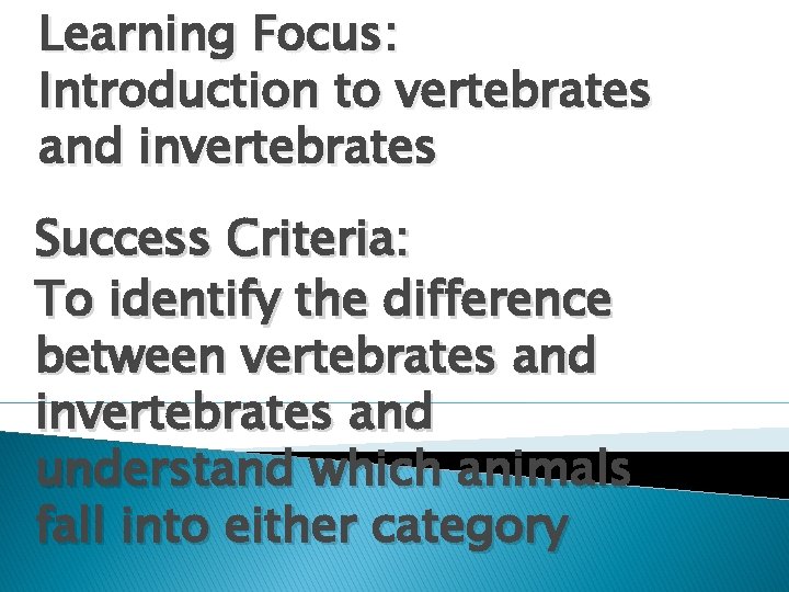 Learning Focus: Introduction to vertebrates and invertebrates Success Criteria: To identify the difference between