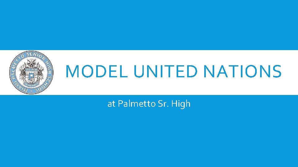 MODEL UNITED NATIONS at Palmetto Sr. High 