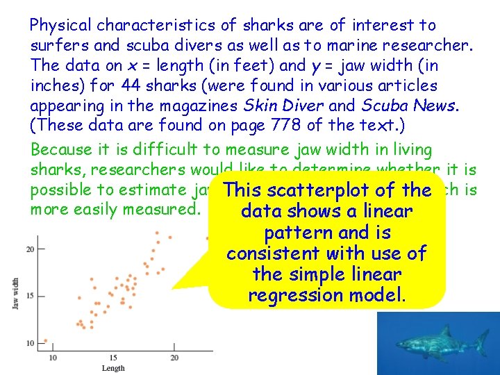 Physical characteristics of sharks are of interest to surfers and scuba divers as well