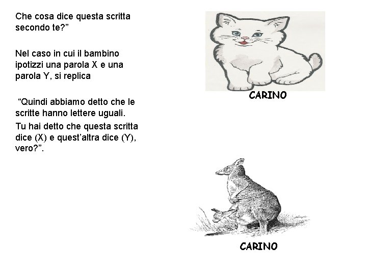 Che cosa dice questa scritta secondo te? ” Nel caso in cui il bambino