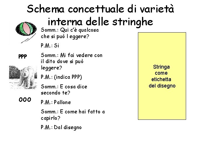 Schema concettuale di varietà interna delle stringhe Somm. : Qui c’è qualcosa che si