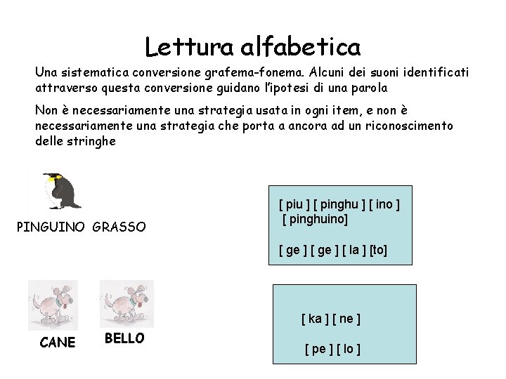 Lettura alfabetica Una sistematica conversione grafema-fonema. Alcuni dei suoni identificati attraverso questa conversione guidano