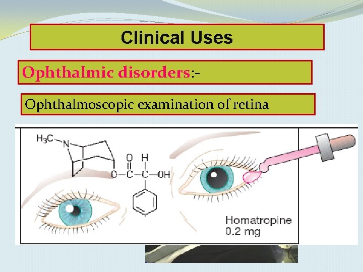Clinical Uses Ophthalmic disorders: Ophthalmoscopic examination of retina 