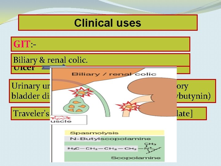 Clinical uses GIT: Biliary & renal colic. Ulcer Pirenzepine Urinary Irritableurgency bowel syndrome, caused