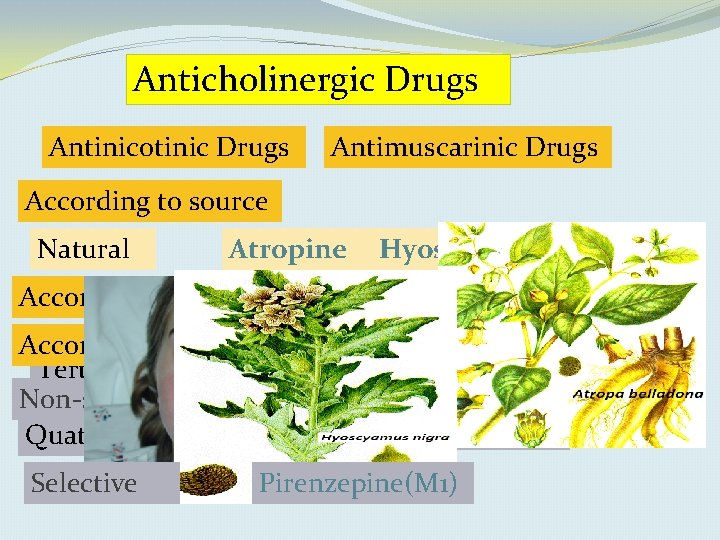 Anticholinergic Drugs Antinicotinic Drugs Antimuscarinic Drugs According to source Natural Atropine Hyoscine According to