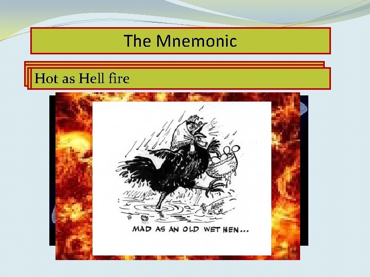 The Mnemonic Red as abone Mad as a. Hell hen Dry Full Blind Hot