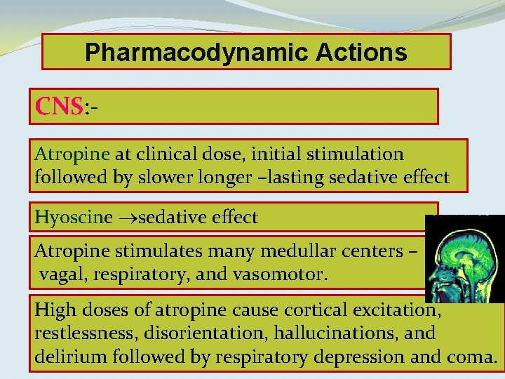 Pharmacodynamic Actions CNS: Atropine at clinical dose, initial stimulation followed by slower longer –lasting