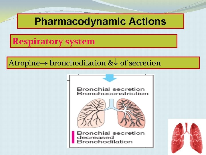 Pharmacodynamic Actions Respiratory system Atropine bronchodilation & of secretion 