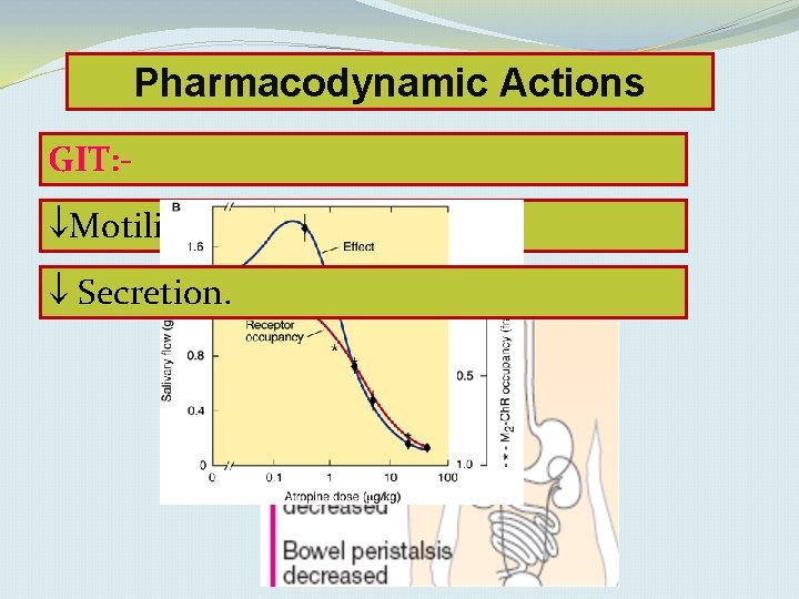 Pharmacodynamic Actions GIT: Motility Secretion. 